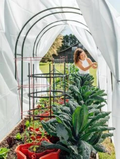 Maxi Garden Hoops With Clips -Plant Supports Shop 8610373 377 tif