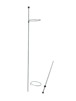 Peacock Mini Plant Support Rings 4", Set Of 2 -Plant Supports Shop 8610386 9566