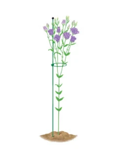 Peacock Mini Plant Support Rings 4", Set Of 2 -Plant Supports Shop 8610386 peacock4x36