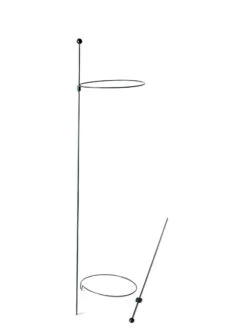 Peacock Mini Plant Support Rings 8", Set Of 2 -Plant Supports Shop 8610388 9565 tif