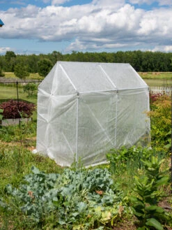 Plant Supports Shop -Plant Supports Shop 8610472 2556