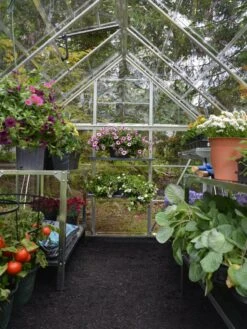 Canopia® By Palram Harmony™ Greenhouse, 6' X 14' -Plant Supports Shop 8610563 03V jpg