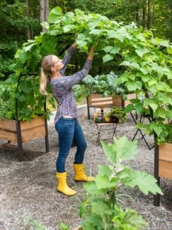 2’ X 8’ Arch Trellis For Planter Boxes -Plant Supports Shop 8610798 050 tif