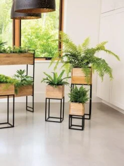 Tartu 2-Tier Elevated Rectangular Planter -Plant Supports Shop 8611008 1306 tif