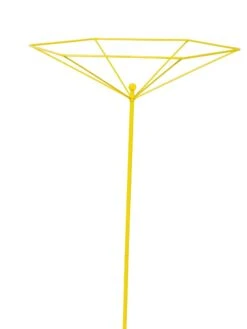 Parasol Plant Supports, Set Of 3 -Plant Supports Shop 8611129 3844 tif