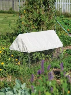 Crop Coop Covers Set -Plant Supports Shop 8611698 004 tif