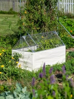 Crop Coop Covers Set -Plant Supports Shop 8611698 005 tif