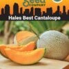 Hales Best Cantaloupe Organic Seeds -Plant Supports Shop 8611872 02v hales best cantaloupe organic seeds