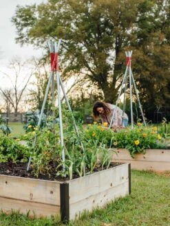 DIY Connector For Teepee Trellis 21 DIY Connector For Teepee Trellis -Plant Supports Shop 8611896 38 tif