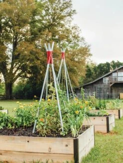 DIY Connector For Teepee Trellis 20 DIY Connector For Teepee Trellis -Plant Supports Shop 8611896 71 tif