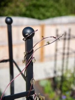 Essex Square Obelisk -Plant Supports Shop 8611984 278 tif