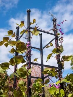 Essex Square Obelisk -Plant Supports Shop 8611984 354 tif