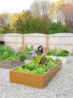 Somerset Metal Raised Beds, As Is -Plant Supports Shop 8612020 0014 tif