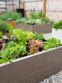 Somerset Metal Raised Beds, As Is -Plant Supports Shop 8612020 002 tif