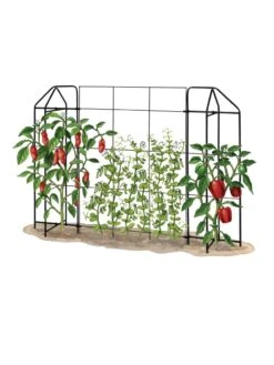 Zenith Trellis -Plant Supports Shop 8612035 art tif