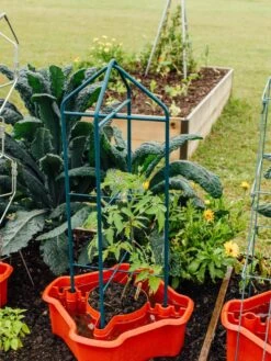 Deluxe Tomato Halos, Set Of 2 -Plant Supports Shop 8612045 221 tif