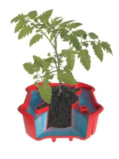 Deluxe Tomato Halos, Set Of 2 -Plant Supports Shop 8612045 crosshatch tif