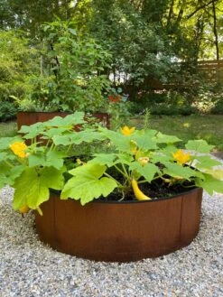 Birdies™ Corten Steel Round Raised Beds -Plant Supports Shop 8612422 0484 tif