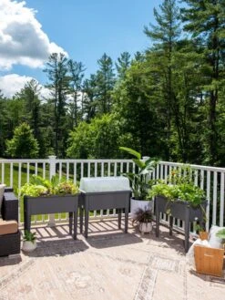 Self-Watering Standing Salad Planter With Cloche -Plant Supports Shop 8612702 2002 tif