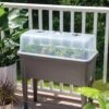 Self-Watering Standing Salad Planter With Cloche -Plant Supports Shop 8612702 2032 tif
