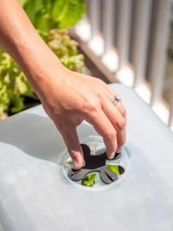 Self-Watering Standing Salad Planter With Cloche -Plant Supports Shop 8612702 2034 tif