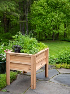 Craftsbury Elevated Raised Beds -Plant Supports Shop 8612706 0095