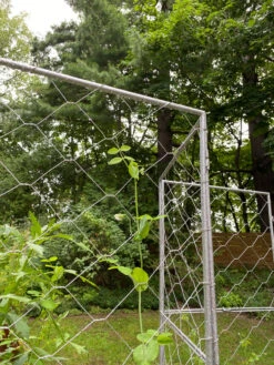 Chicken Wire Pea Trellis -Plant Supports Shop 8612718 7302