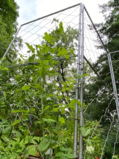 Chicken Wire Pea Trellis -Plant Supports Shop 8612718 7308