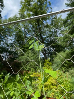 Chicken Wire Pea Trellis -Plant Supports Shop 8612718 7311