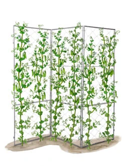 Chicken Wire Pea Trellis -Plant Supports Shop 8612718 peatrellis art chicken wire pea trellis