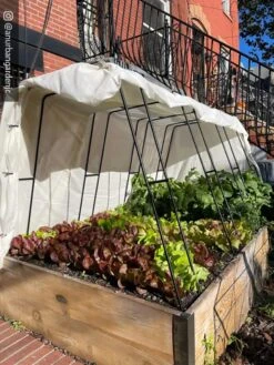 Cotton All Purpose Garden Cover -Plant Supports Shop 8612816 01CUST