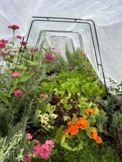 All-Purpose Garden Fabric -Plant Supports Shop 8612816 01TEST