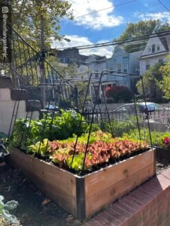 Zenith Garden Hoops, Set Of 4 -Plant Supports Shop 8612816 02CUST