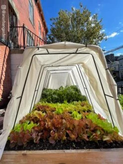 Cotton All Purpose Garden Cover -Plant Supports Shop 8612816 03CUST