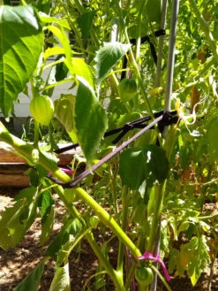 Farmyarn® Multipurpose Garden Tie, 2 Pack -Plant Supports Shop 8612948 02v