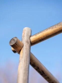 Bamboo Tomato Cages, Set Of 3 19 Bamboo Tomato Cages, Set Of 3 -Plant Supports Shop 8613143 0385