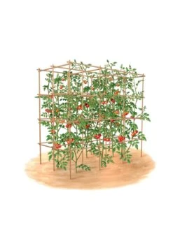 Tomato Six Pack Support -Plant Supports Shop 8613143 art flat