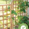 Bamboo Zig-Zag Trellis 24" X 36" -Plant Supports Shop 8613151 15