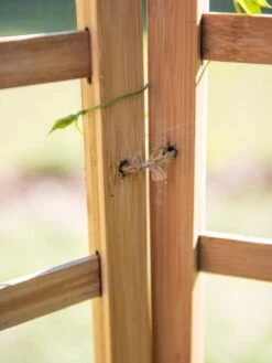 Bamboo Zig-Zag Trellis 24" X 36" -Plant Supports Shop 8613151 6483