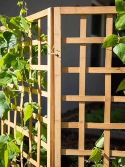 Bamboo Zig-Zag Trellis 24" X 36" -Plant Supports Shop 8613151 6491