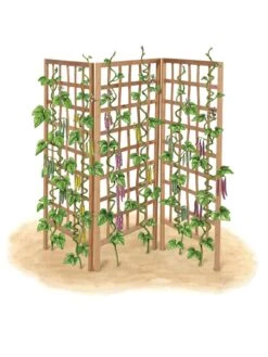 Bamboo Zig-Zag Trellis 24" X 36" -Plant Supports Shop 8613151 art flat