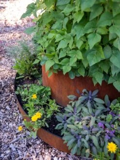 Birdies™ Corten Steel Tiered Round Raised Bed Kit, Tall -Plant Supports Shop 8613245 0195