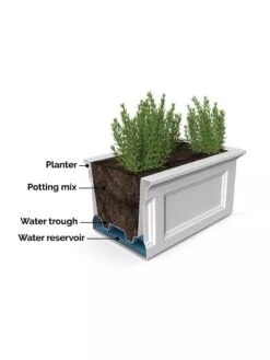 Fairfield Self-Watering Elevated Garden Bed 17 Fairfield Self-Watering Elevated Garden Bed -Plant Supports Shop 8613283 07V 3 4