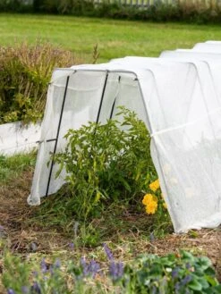 Zenith Garden Hoops, Set Of 4 -Plant Supports Shop 8613313 0133 1