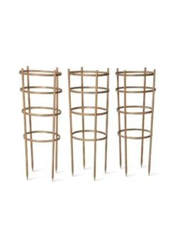 Bamboo Tomato Cages, Set Of 3 17 Bamboo Tomato Cages, Set Of 3 -Plant Supports Shop 8613426 4679 bamboo tomato cages 3