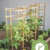 Bamboo Tomato Cages, Set Of 3 -Plant Supports Shop 8613426 7