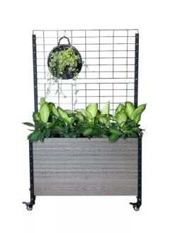 Mobile Deep Trough Planter With Trellis -Plant Supports Shop 8614265 03V