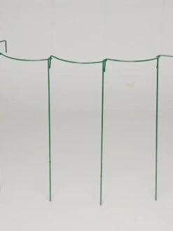 Curved Linking Stakes -Plant Supports Shop GS35240 05S tif