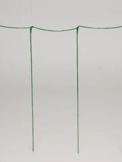Curved Linking Stakes -Plant Supports Shop GS35241 04S tif