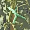 Foam Twist Tie, 30' -Plant Supports Shop GS38765 01 tif